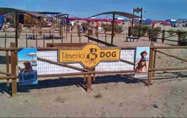 Bagno Tamerici Dog