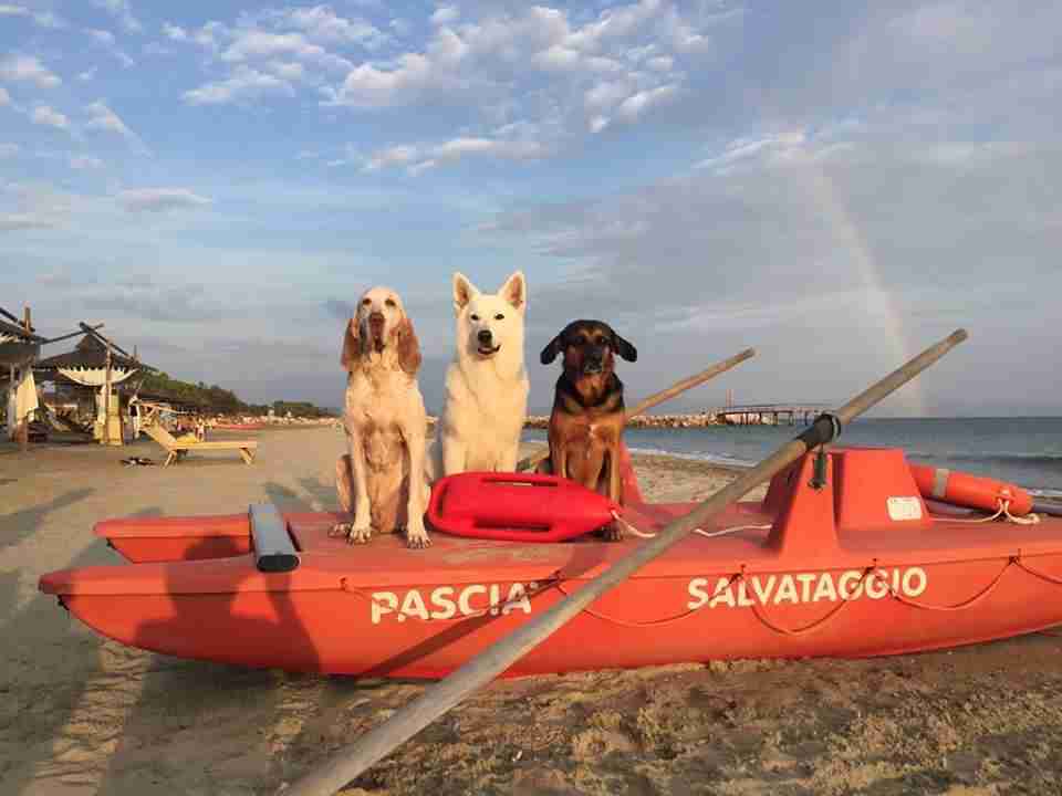 Pascià Glam Beach Dog Friendly